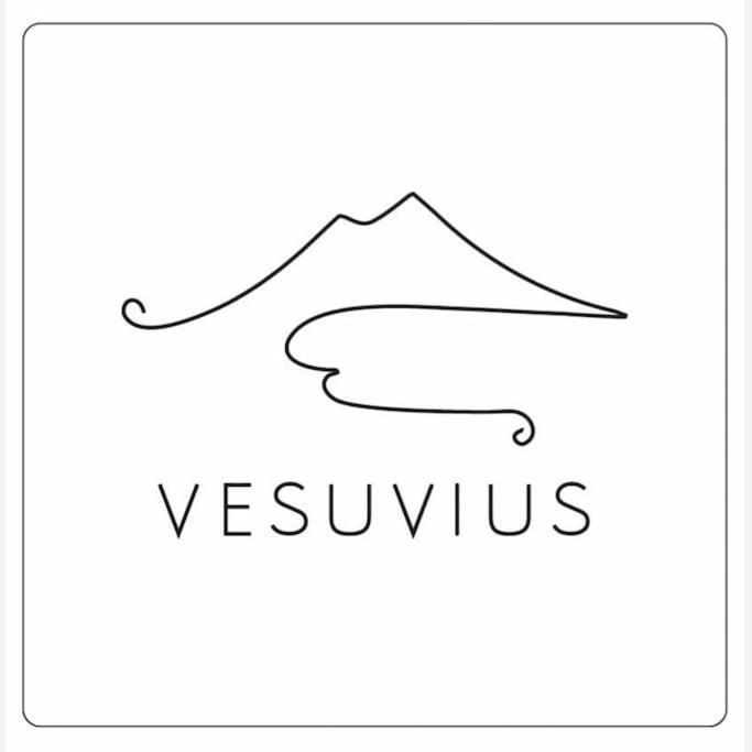 Vesuvius A Mezzocannone Apartment Naples Luaran gambar
