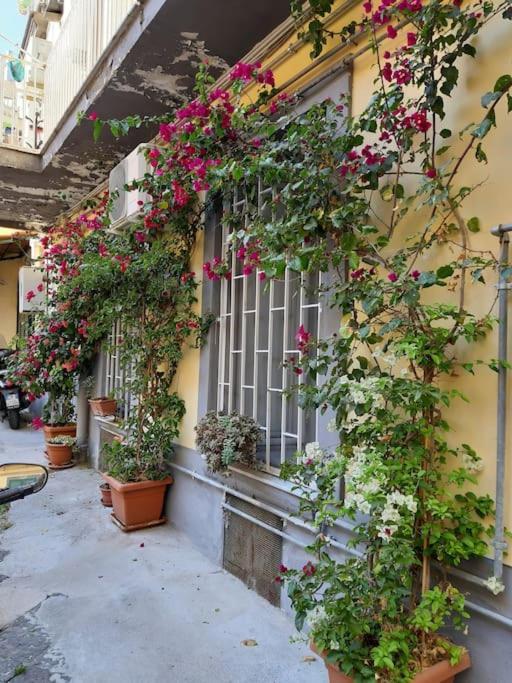 Vesuvius A Mezzocannone Apartment Naples Luaran gambar